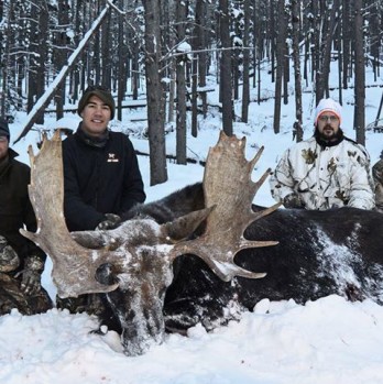 Moose Hunts