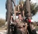 Central Florida Gator Hunts