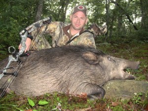 Trophy hog hunts in TN