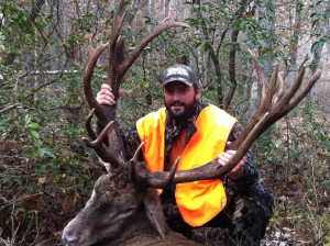 Tennessee Exotic trophy Red Stag, trophy hunts in TN