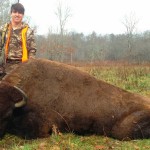 buffalo puts a lot of meat in the freezer!