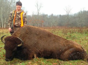 buffalo puts a lot of meat in the freezer!