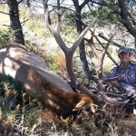 Hunt New Mexico for trophy elk