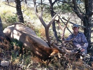 Hunt New Mexico for trophy elk