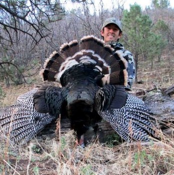 New Mexica MerriumTurkey Hunts