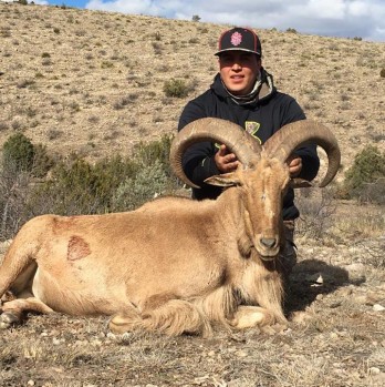 New Mexico Barbary Sheep Hunts