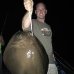 Southern Stingray